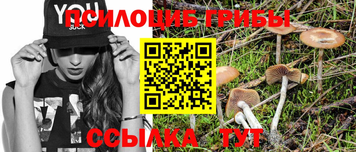 Псилоцибиновые грибы ЛСД  Вход с VPN  как найти   Мирный 