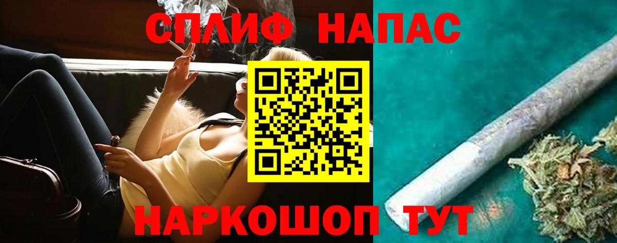 Конопля гибрид Мирный